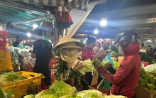Rau trái về TPHCM tăng dần, nhiều loại chỉ 10.000 đồng/kg