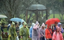 Tin mới về vùng áp thấp trên Biển Đông