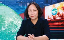 Chuyên gia Thuế: Trong một gia đình, nếu chồng sản xuất đậu và vợ mang đậu ra chợ bán, mỗi người sẽ được tính là một cá thể kinh doanh riêng