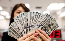 Hàn Quốc vừa quyết chi hơn 6,5 triệu USD mua "quốc bảo" Việt Nam