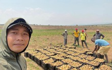 Động thái lạ của kênh Quang Linh Vlogs