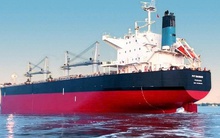 PVT Logistics hoàn tất phát hành hơn 13 triệu cổ phiếu trả cổ tức cho hơn 1.400 cổ đông