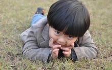 Không ai ngờ: 4 CÂU NÓI đơn giản này có thể “tái lập trình” não trẻ, giúp con thông minh vượt bậc!