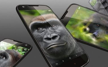 Vì sao trên thế giới chỉ rất ít nơi làm được kính cường lực cho điện thoại?