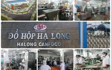 Đồ hộp Hạ Long (CAN) đầu tư hơn 166 tỷ đồng để đầu tư nhà máy mới tại Hải Phòng