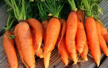 4 loại thực phẩm tích tụ cả kho vi nhựa, loại cuối cùng người Việt vẫn ăn hàng ngày