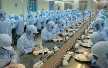 Một doanh nghiệp nhà nước giải thể 11 đơn vị và công ty con