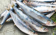 Chợ Việt có 4 loại cá sạch dễ mua, gần như không lo nhiễm kim loại nặng