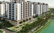 Đang là giám đốc một công ty thì có được mua nhà ở xã hội theo quy định mới nhất không?