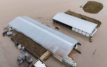 Trận lũ lịch sử cuốn trôi nhà cửa, cô lập hàng nghìn gia đình ở bang Washington