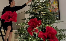 Mỹ nhân Vbiz 40 tuổi mới lấy chồng, không phải làm dâu, sống như bà hoàng trong bạch dinh 1000m²