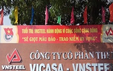 Biến động thượng tầng tại Thép Vicasa - VNSteel