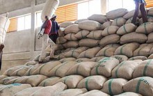 Hàng chục nghìn tấn hàng của Việt Nam được Nga đổ tiền mua với giá cực đắt: thuế nhập khẩu 0%, sản lượng hơn 1 triệu tấn/năm