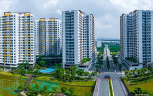 35 tuổi, sở hữu 3 bất động sản gần 20 tỷ đồng, nữ nhân viên văn phòng nhận ra: Cuộc sống vô thường, chỉ mong có sức khỏe