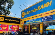 Điện Máy Xanh trước IPO: Đứng ở đâu trên thị trường điện máy?