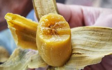 3 loại quả đem nấu chín thành "thần dược" cho nữ giới trong mùa đông: Dưỡng da, đẹp tóc, giảm mỡ, phòng đủ thứ bệnh