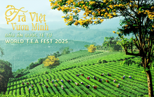 Trà Việt Vươn Mình: Dấu Ấn Quốc Tế Từ World T.E.A Fest 2025
