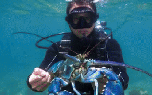 6 "kho báu" mang về 10,8 triệu tỷ đồng cho Việt Nam; Tiến thẳng vào Top 15 của thế giới