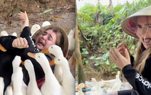 Cô gái Tây la hét thất thanh khi thử 1 trò chơi độc lạ ở Việt Nam