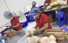 Thích ứng chính sách thuế của Mỹ vừa cấp bách, vừa lâu dài