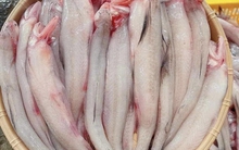 Loại cá thịt mềm như cháo, gặp nước là tan, người sành ăn nhìn thấy thì mua vội