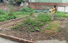 Từ 1/1/2026, chính thức giảm 70% tiền chuyển đất nông nghiệp lên đất thổ cư, người dân cần chú ý