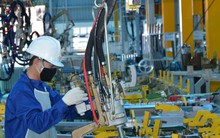 Hơn 300.000 doanh nghiệp thành lập mới và quay lại hoạt động trong năm 2025