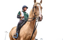 Bên trong nơi nuôi dưỡng giống ngựa triệu đô hiếm bậc nhất thế giới tại Việt Nam