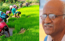 Cựu nhân viên ngân hàng bán nhà lấy 1,1 tỷ đồng mua mảnh đất hơn 12.000m2 làm trang trại để nghỉ hưu: “Chỉ kiếm được hơn 176 triệu/năm nhưng tôi rất vui”