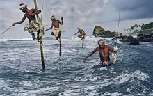 Phiên 23/12: Gần 700 tỷ đồng cổ phiếu Việt Nam được khối ngoại "tung tiền" gom mạnh, mã nào là tâm điểm?