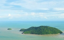 Cà Mau chuyển gần 10ha rừng phòng hộ để làm đường ra đảo Hòn Khoai