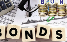 Vingroup phát hành 325 triệu USD trái phiếu ra thị trường nước ngoài