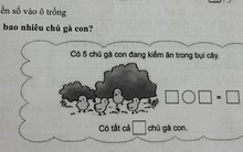 Bài toán tiểu học khiến phụ huynh phải lên mạng hỏi vì dữ liệu được "giấu" trong bụi cây