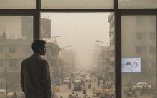 Một loại vitamin có thể bảo vệ phổi khi gặp ô nhiễm bụi mịn