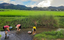 Nâng cao nhận thức và hành động cộng đồng về bảo tồn nguồn nước