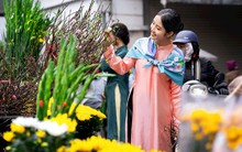 Công chức, viên chức nghỉ Tết Dương lịch 2026 liên tục 4 ngày