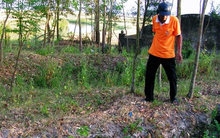 Đi tìm phế liệu, người dân Hà Tĩnh phát hiện kho báu nặng 15kg: Hàng nghìn đồng tiền kết thành mảng được đào lên