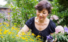 Mãi 50 tuổi tôi mới nhận ra sự thật đau đớn nhất cuộc đời: Không phải nghèo khó hay thiếu địa vị...