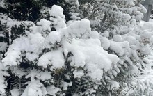 Nơi vừa có tuyết rơi hiếm có sau gần 20 năm!