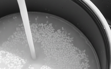 Nấu cơm bằng loại nước trắng đục này tốt gấp vạn lần nước lọc: Cơm ngon, dưỡng da, ngừa nhiều bệnh tật