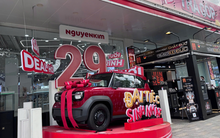 Thương vụ Nguyễn Kim và thị trường điện máy