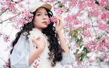 Sắc hồng phủ kín cao nguyên, vạn vật đều thua mùa hoa này ở Đà Lạt