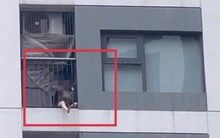 Bức ảnh chụp lô gia căn hộ chung cư khiến nhiều người giật mình thắc mắc: Sao có thể như vậy?