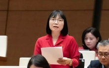 Còn bao nhiêu tổ chức tín dụng yếu kém chưa được xử lý dứt điểm?