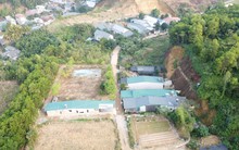 Lào Cai: Đất rừng Văn Phú bị phân lô có hợp pháp ?