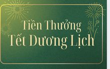 Tết Dương lịch 2026 có được thưởng?