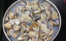 Mua ngao chỉ cần nhớ 3 mẹo này: Ăn không hết vẫn tươi, thịt không teo mà mọng ngọt như mới