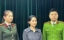 Khởi tố giám đốc công ty tổ chức chương trình 'Về đây bốn cánh chim trời'