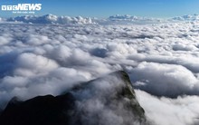 'Săn mây', ngắm cảnh đẹp hoang sơ trên 'nóc nhà' Quảng Trị ở dãy Trường Sơn