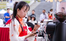 Cà phê Việt Nam 2025:  Ngược gió vươn cao và những cú hích chiến lược